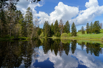 Etang de la Gruère dans les Franches-Montagnes en Suisse