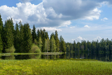 Etang de la Gruère dans les Franches-Montagnes en Suisse