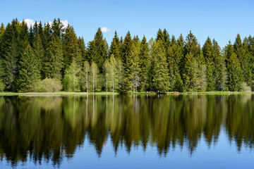 Etang de la Gruère dans les Franches-Montagnes en Suisse