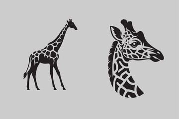 Giraffe vector illustration and Giraffe head vector