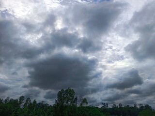 Obraz premium a cloudy sky over trees