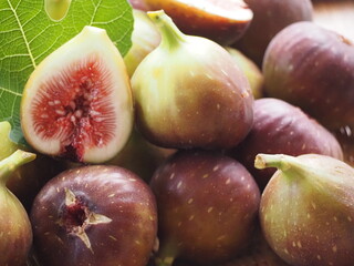 採れたてのイチジク