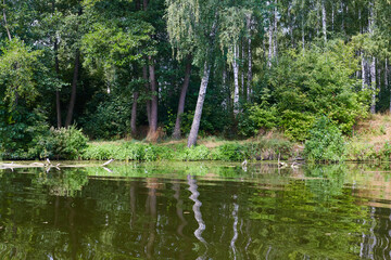 The Psel river in the autumn.