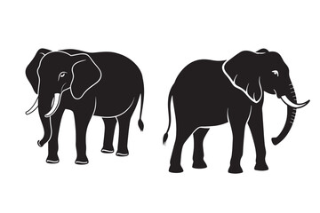 Elephant vector, Elephant illustration and elephant head