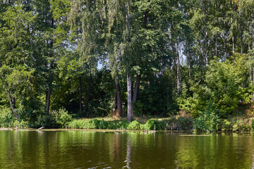 The Psel river in the autumn.