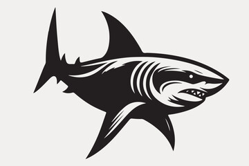 shark illustration