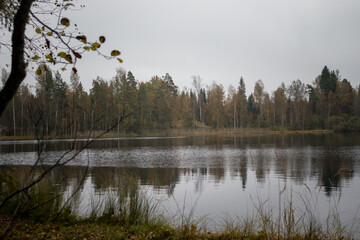 A nordic lake with a treeline changing to fall colours.