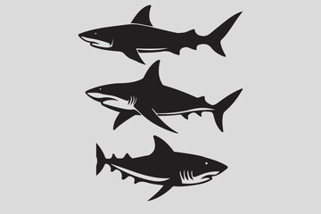 Shark vector, and fish vactor