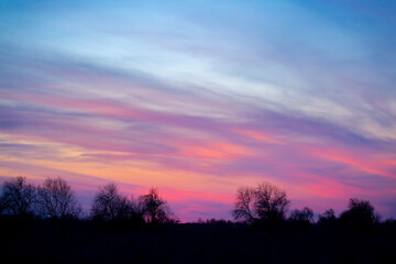 Fototapeta premium Sunset sky, orange and pink sunset tints on clouds, with silhouettes of trees without leaves in autumn. Forest landscape against sky with sunlight in golden hour.