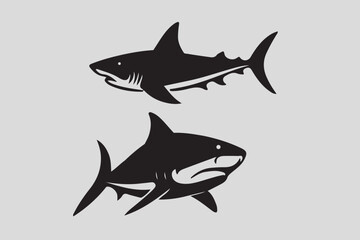 Shark vector,  fish vector