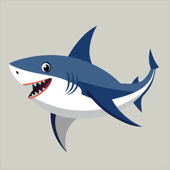 Shark vector,  fish vector