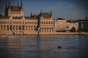 Obraz premium Parliament in Budapest at thr evening
