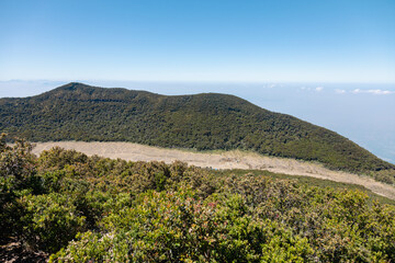 Alun-alun Surya Kencana from the top of Mt. Gede