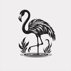 flamingo vector and bird illustration