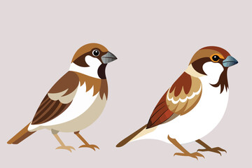 bird vector and logo
