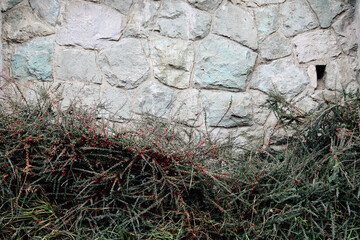 Natural stone wall partially covered with green plants