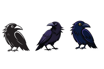 Crows bird vector  on a white background