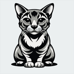  Siamese Cat, Persian Cat, Maine Coon Cat, Bengal Cat, Sphynx Cat. vector