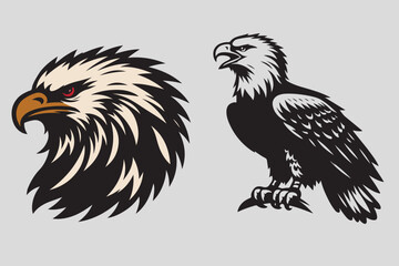 eagle vector and illustration