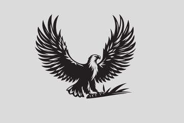 eagle vector and illustration