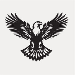 eagle vector and illustration