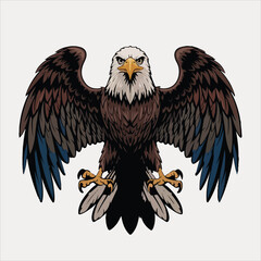 eagle vector and illustration