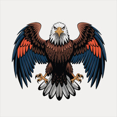 eagle vector and illustration