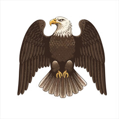 eagle vector