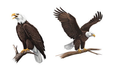 eagle vector