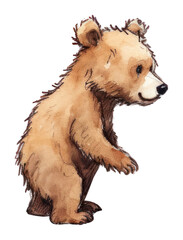 Fototapeta premium PNG Bear playing pootball cartoon mammal animal.