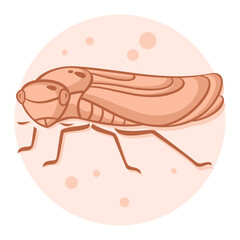 40-Leafhopper.svg