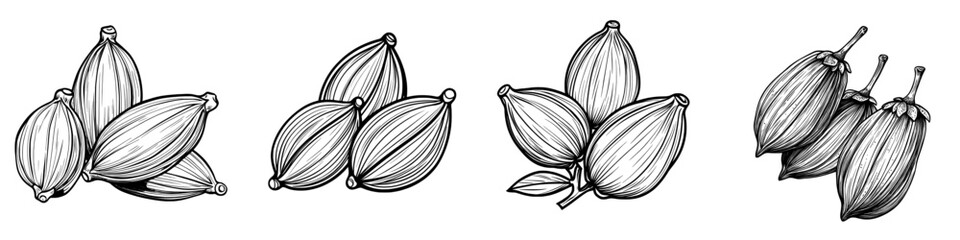 Cardamom pods are displayed closely together against a simple background, displaying their smooth, elongated shapes