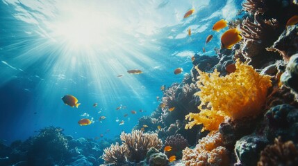 Obraz premium Underwater Coral Reef Vibrant Marine Life and Sunlight