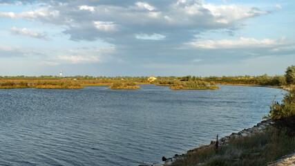 Wetlands in the Po River Delta, Veneto, Italy