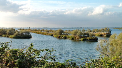 Obraz premium Wetlands in the Po River Delta, Veneto, Italy