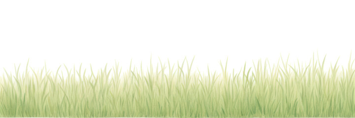 Obraz premium PNG Grass as divider watercolor vegetation outdoors nature.
