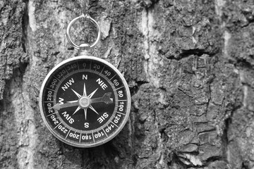 Classic navigation compass on natural background