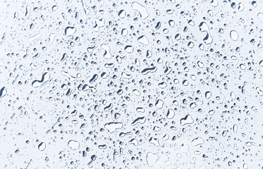 Closeup water drops on white background, water drops pattern background