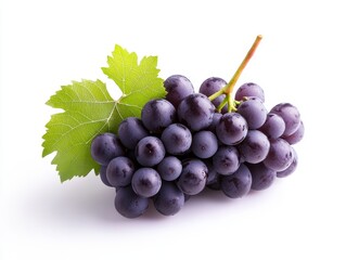 Fototapeta premium Vibrant Bunch of Fresh and Ripe Purple Grapes with Green Leaves on Vine against Solid White Background