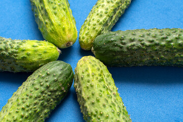 Cucumbers on blue background	