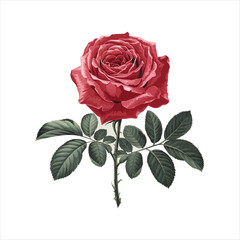 Red Rose with Leaves in Minimalist Design