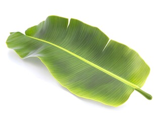 Fototapeta premium Single Banana Leaf on White Background