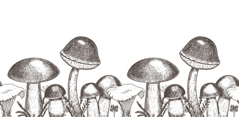 Border with edible mushrooms. Hand drawn vector illustration