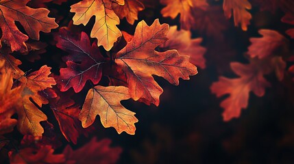Autumn concept background
