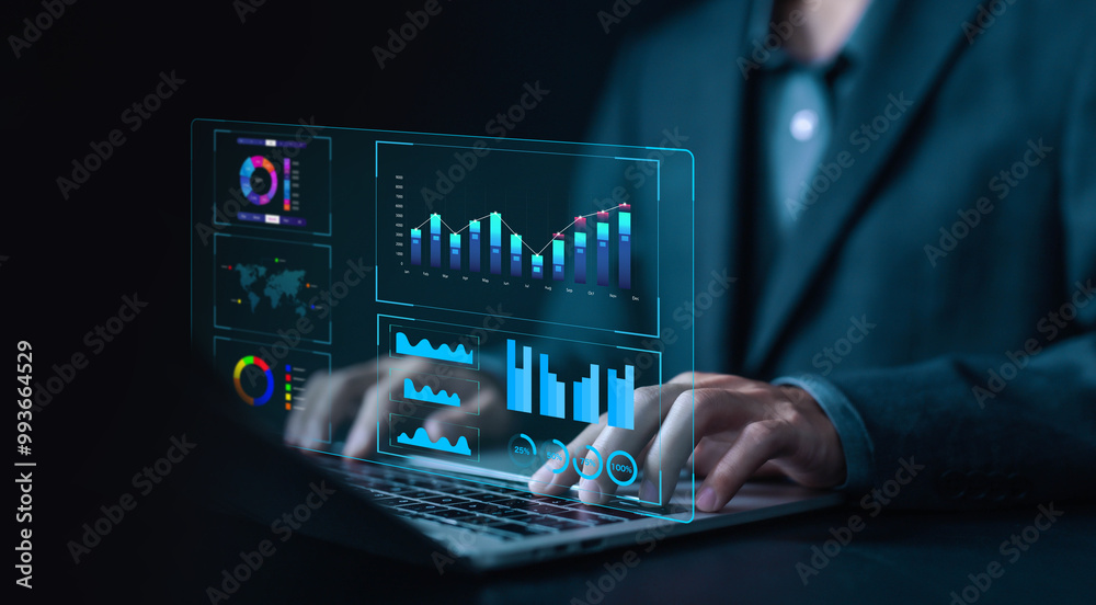 Fototapete analyst manages the system database, research platform digital technology, and reports on a laptop. 