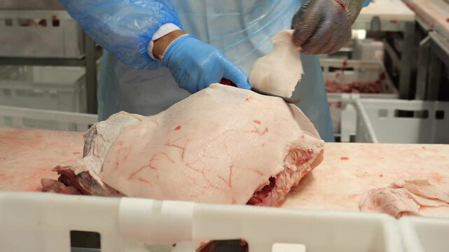 A butcher cuts fat off a slab of pork at meat processing plant