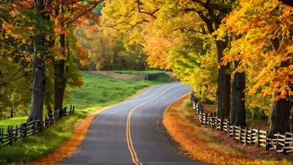 Serene autumn tree-lined country road adorned in vibrant fall colors, ideal for scenic wallpapers