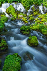 京極町ふきだし公園 　羊蹄山の伏流水