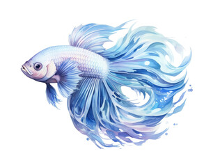 Fototapeta premium PNG Animal fish underwater goldfish.