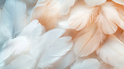Fototapeta premium Elegant Feathers Creating a Serene Interior Design Atmosphere. AI generated illustration